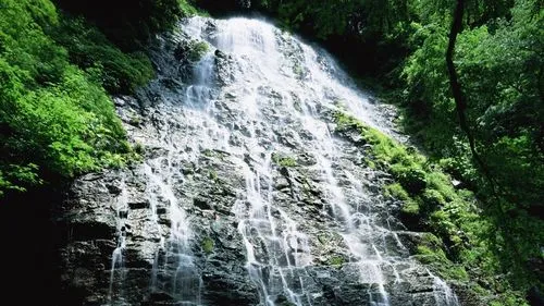 数字化高性能